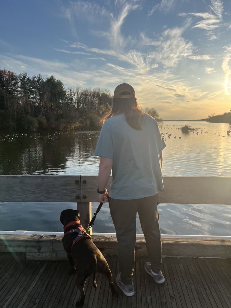 Dog enjoying outdoor adventure walk