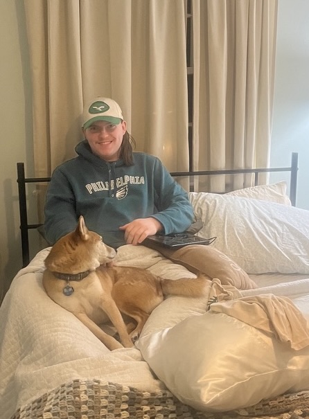 Pet resting comfortably during an overnight stay