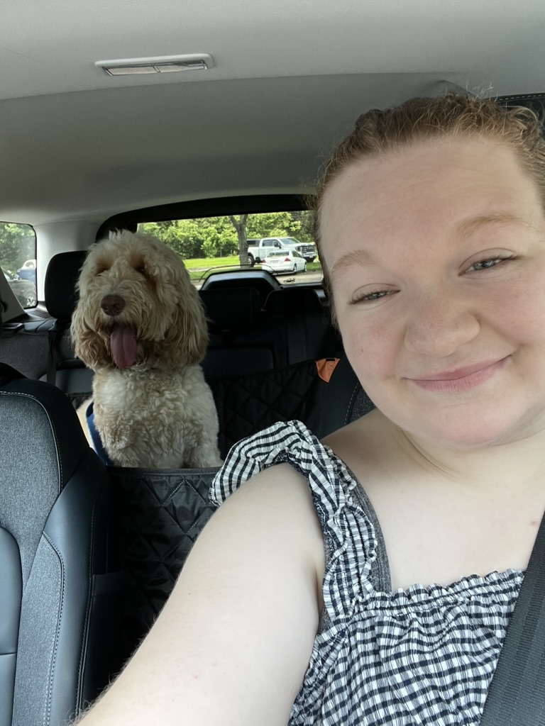 Pet ready for safe transportation